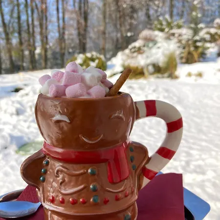 Hotel Dakol Petrovice u Karviné